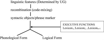 Lessons From Neuro-(a)-Typical Brains: Universal Multilingualism, Code-Mixing, Recombination, and Executive Functions